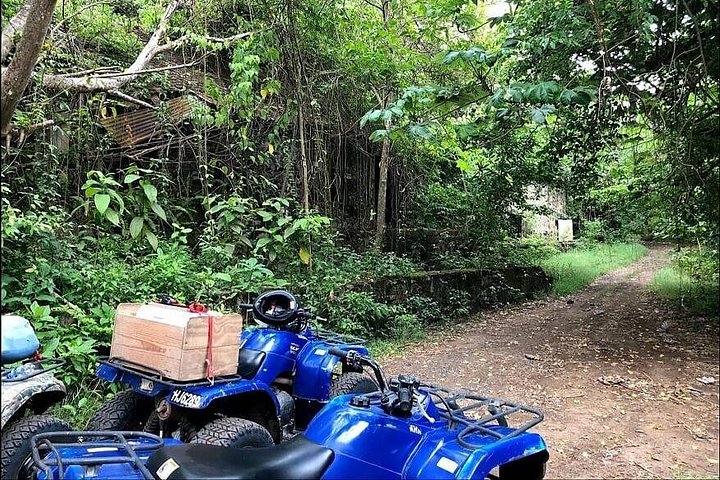 ATV-tur genom frodiga landskap och historiska platser på St. Lucia, foto 30 | wizardtrip