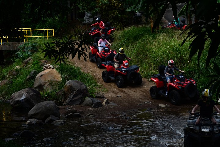 ATV-tur genom frodiga landskap och historiska platser på St. Lucia, foto 33 | wizardtrip