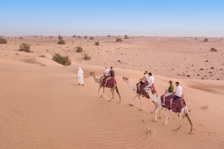 Kamelsafari i ørkenen med middag og kulturelle aktiviteter i Dubai, foto 7 | wizardtrip