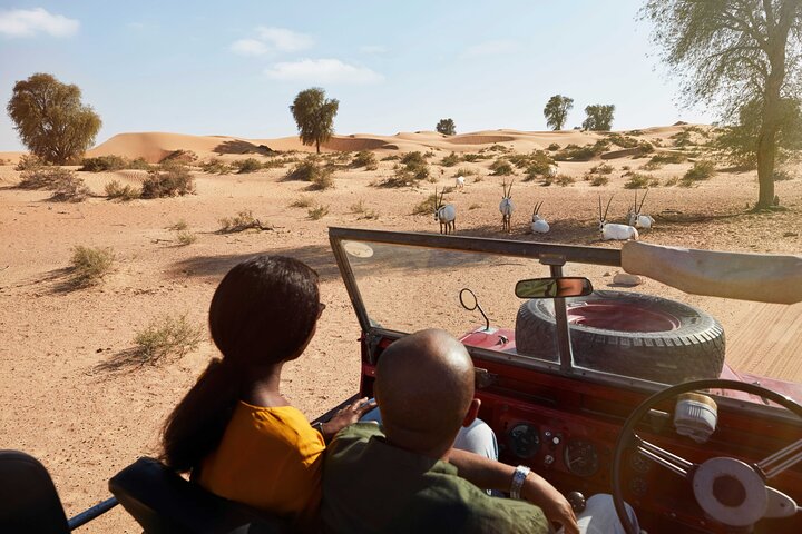 Experience a traditional Bedouin desert safari in Dubai with a vintage Land Rover, falconry, and dinner, photo 9 | wizardtrip