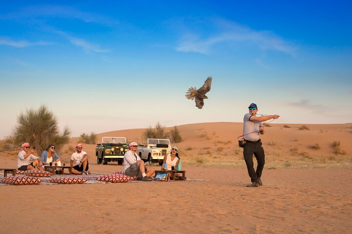 Experience a traditional Bedouin desert safari in Dubai with a vintage Land Rover, falconry, and dinner, photo 16 | wizardtrip