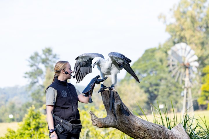 Njut av en naturskön flodkryssning och möt australiska djur på Lone Pine Koala Sanctuary i Brisbane, foto 9 | wizardtrip