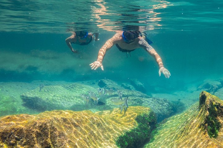 Aventura de snorkel num cenote e na Lagoa Yal-Ku com peixes tropicais, foto 6 | wizardtrip