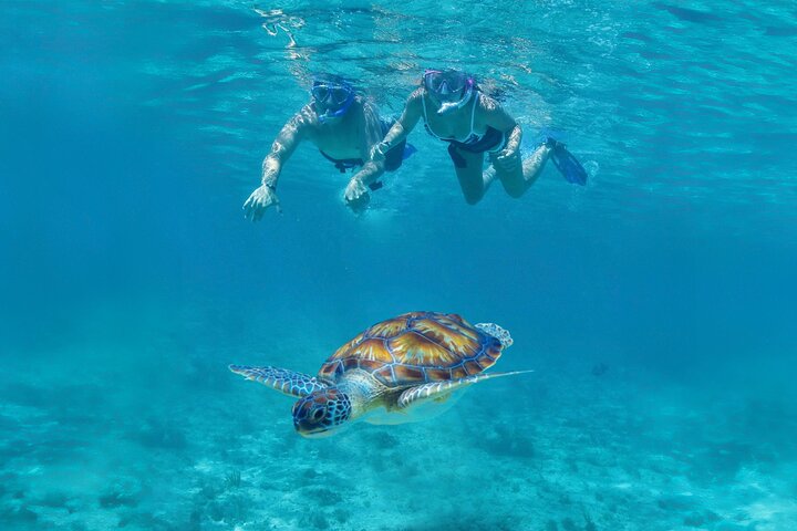 Explore as ruínas maias de Tulum, nade com tartarugas marinhas em Akumal e descubra um cenote, seguido de almoço, foto 6 | wizardtrip