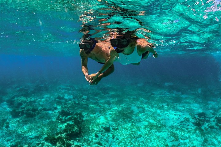 Luksuskattamaran seiler til Isla Mujeres fra Cancun, med snorkling og øyutforskning, foto 7 | wizardtrip