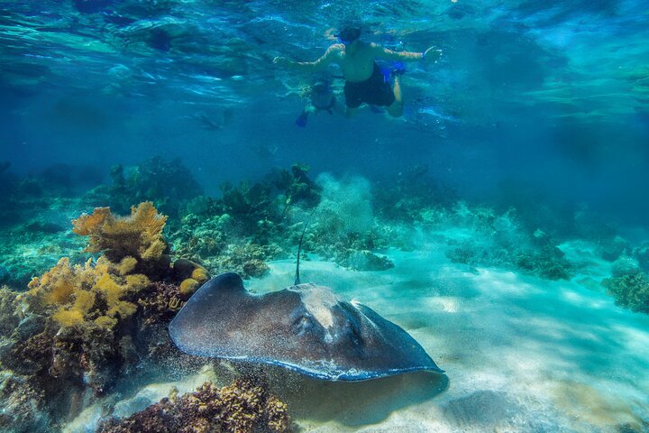 Luksuriøs ketch-sejlads og snorkeltur i Riviera Maya, Mexico, med frokost og drikkevarer, foto 10 | wizardtrip