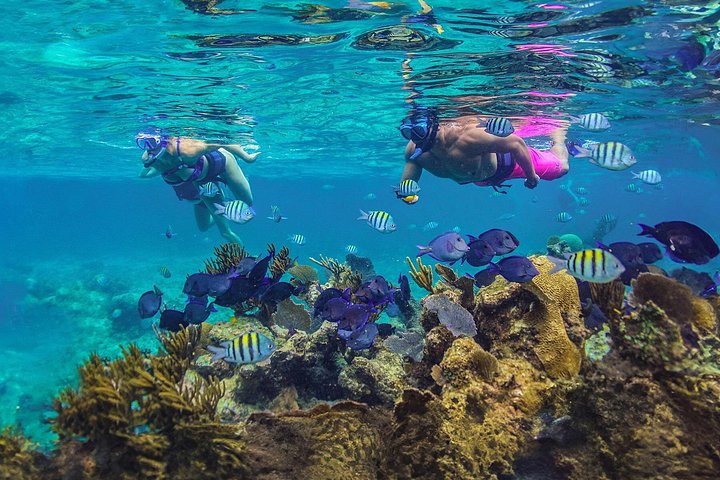 Luksuriøs ketch-sejlads og snorkeltur i Riviera Maya, Mexico, med frokost og drikkevarer, foto 12 | wizardtrip