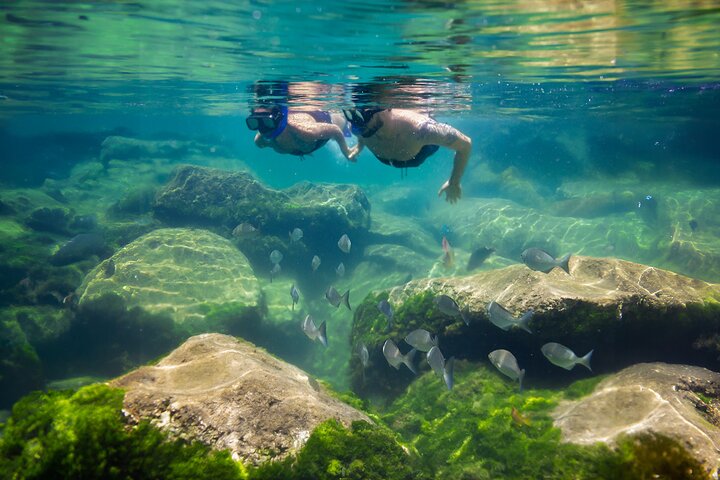 Explore Tulum's Mayan ruins, swim in cenotes, snorkel in Yal-kú lagoon, and enjoy lunch by the beach, photo 7 | wizardtrip