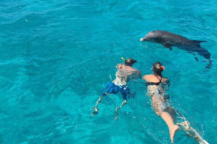 Croisière Catamaran et Snorkeling de 4h au départ de Grace Bay | wizardtrip