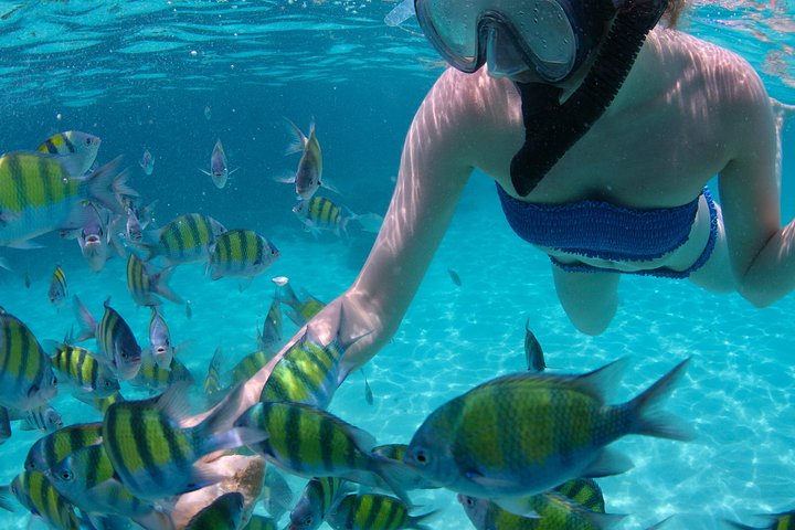 Aventura de catamarã e snorkeling em Grace Bay, Providenciales, Turks e Caicos, foto 8 | wizardtrip