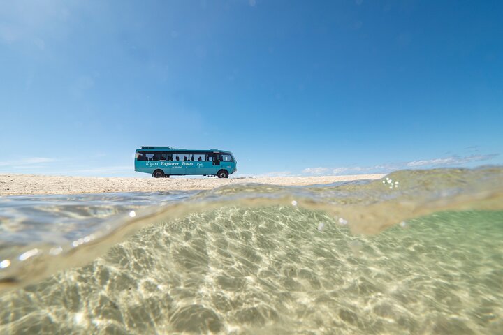 Tvådagars utforskning av Fraser Islands fantastiska naturlandskap, inklusive sjöar, regnskogar och stränder, foto 13 | wizardtrip