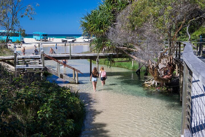 Tour giornaliero all-inclusive alla scoperta delle attrazioni di K'gari (Fraser Island) come Lake McKenzie e il relitto del Maheno, foto 6 | wizardtrip