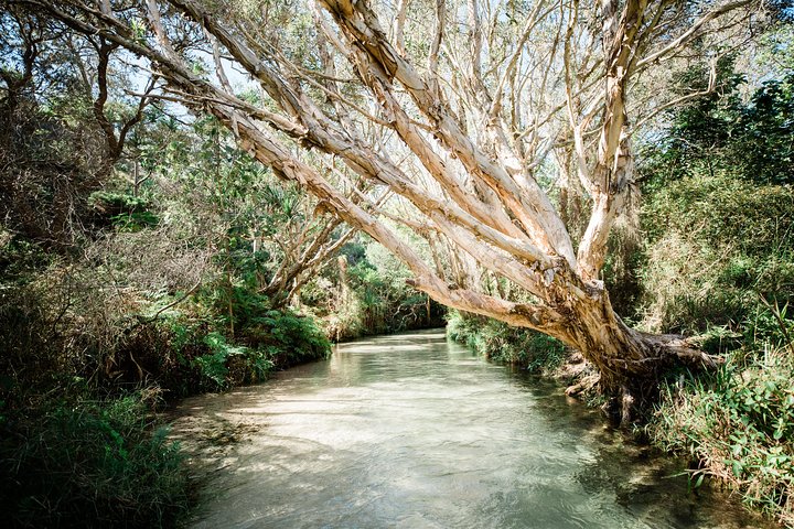 Tour giornaliero all-inclusive alla scoperta delle attrazioni di K'gari (Fraser Island) come Lake McKenzie e il relitto del Maheno, foto 9 | wizardtrip