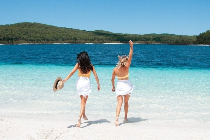 Tour giornaliero all-inclusive alla scoperta delle attrazioni di K'gari (Fraser Island) come Lake McKenzie e il relitto del Maheno, foto 12 | wizardtrip