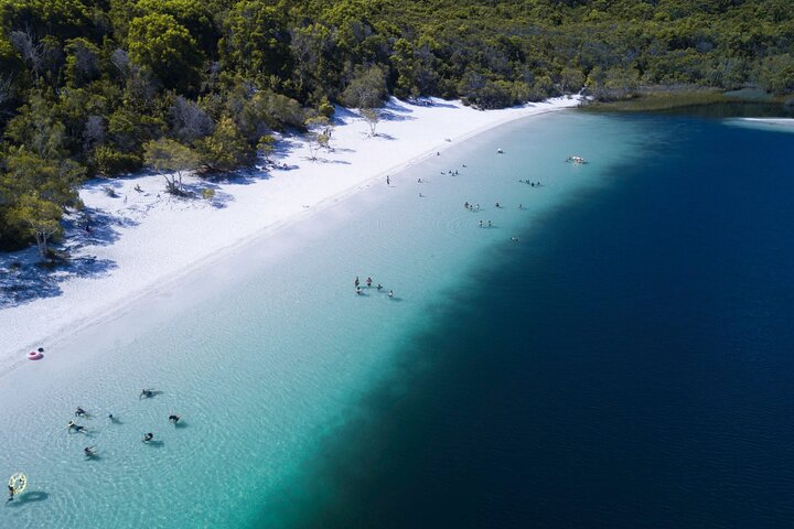 Tour giornaliero all-inclusive alla scoperta delle attrazioni di K'gari (Fraser Island) come Lake McKenzie e il relitto del Maheno, foto 14 | wizardtrip
