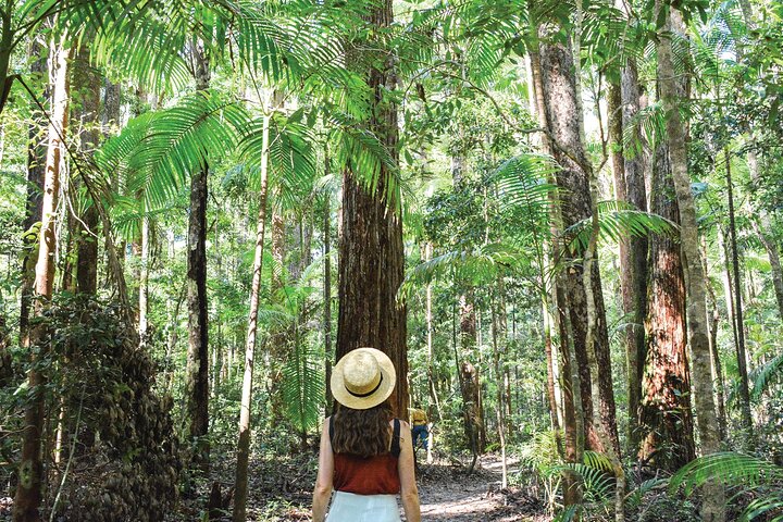Tour giornaliero all-inclusive alla scoperta delle attrazioni di K'gari (Fraser Island) come Lake McKenzie e il relitto del Maheno, foto 15 | wizardtrip