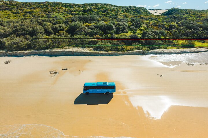 Tour giornaliero all-inclusive alla scoperta delle attrazioni di K'gari (Fraser Island) come Lake McKenzie e il relitto del Maheno, foto 16 | wizardtrip