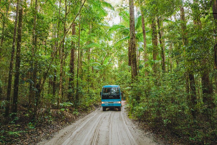 Tour giornaliero all-inclusive alla scoperta delle attrazioni di K'gari (Fraser Island) come Lake McKenzie e il relitto del Maheno, foto 17 | wizardtrip