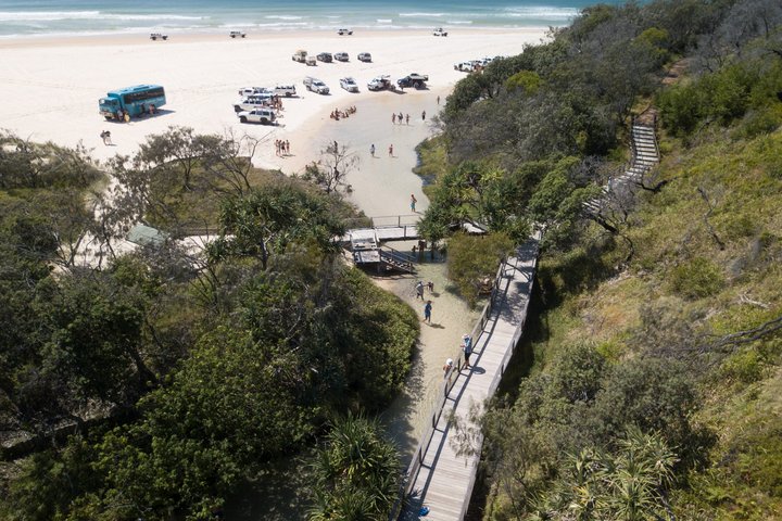 Tour giornaliero all-inclusive alla scoperta delle attrazioni di K'gari (Fraser Island) come Lake McKenzie e il relitto del Maheno, foto 18 | wizardtrip