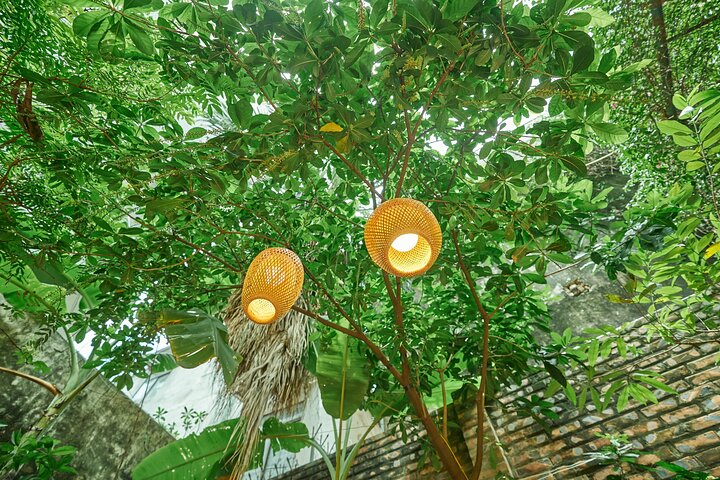 Una clase de cocina vietnamita práctica en Hanói, con tours por el mercado e inmersión cultural, foto 32 | wizardtrip