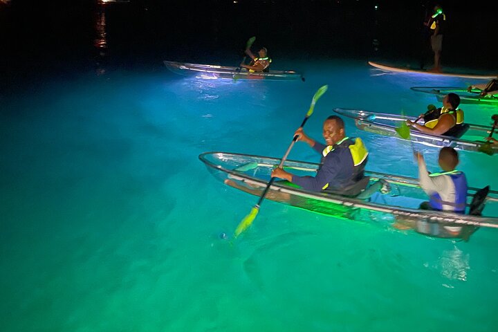 Aventure nocturne en kayak à St. Thomas avec des kayaks transparents et une vie marine lumineuse, photo 13 | wizardtrip
