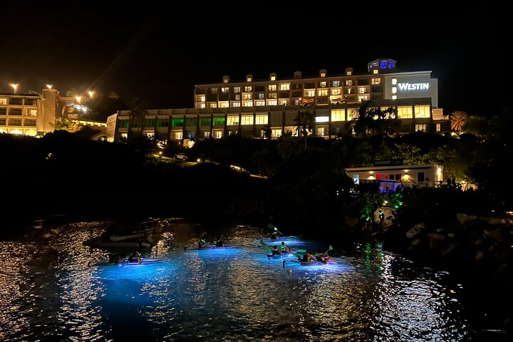 Aventure nocturne en kayak à St. Thomas avec des kayaks transparents et une vie marine lumineuse, photo 14 | wizardtrip
