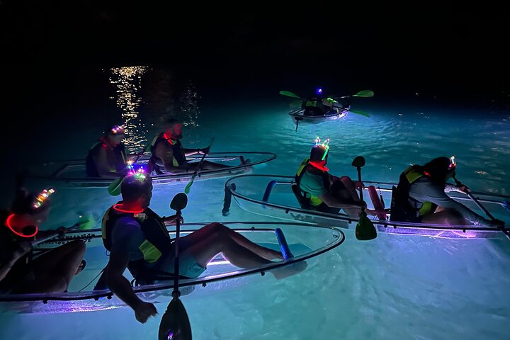Aventure nocturne en kayak à St. Thomas avec des kayaks transparents et une vie marine lumineuse, photo 15 | wizardtrip