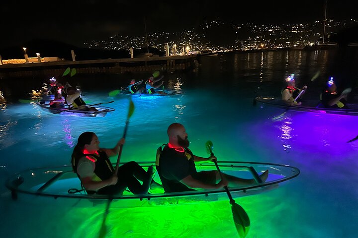 Aventure nocturne en kayak à St. Thomas avec des kayaks transparents et une vie marine lumineuse, photo 16 | wizardtrip