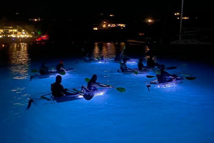 Night Kayak Tour St. John - Westin Resort | wizardtrip