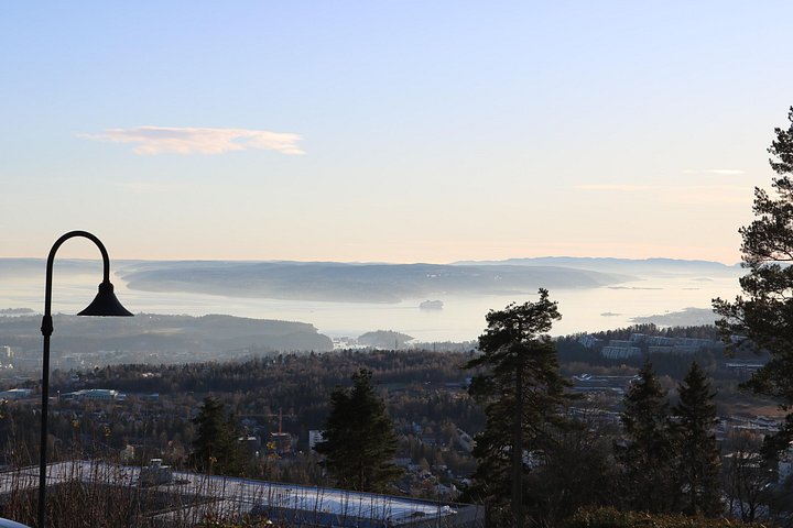 Oslo city tour featuring landmarks like Holmenkollen, Vigeland Park, and museums, photo 35 | wizardtrip