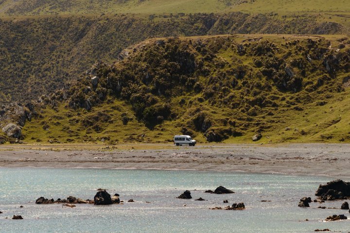 Udforsk Wellingtons hemmelige kyst med eksklusiv 4WD-adgang til landbrugsjord og sælkolonier, foto 9 | wizardtrip