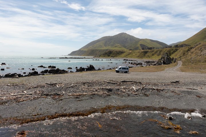 Udforsk Wellingtons hemmelige kyst med eksklusiv 4WD-adgang til landbrugsjord og sælkolonier, foto 10 | wizardtrip