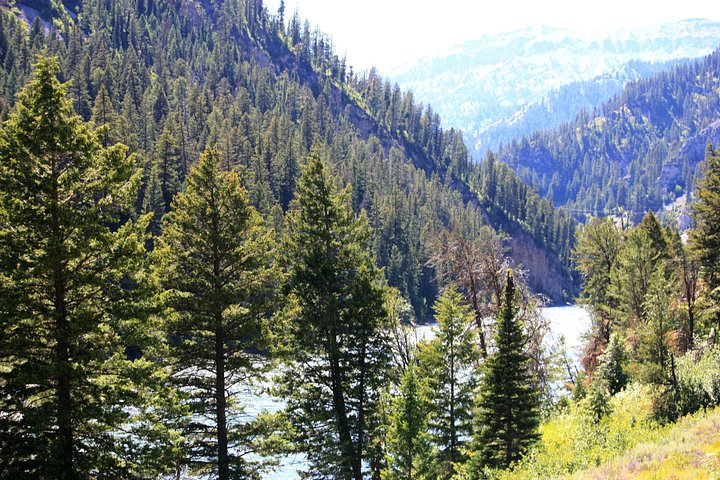 Elveوس rafting-eventyr på Snake River i Jackson Hole, USA, med spennende stryk og naturskjønn canyon-utsikt, foto 15 | wizardtrip