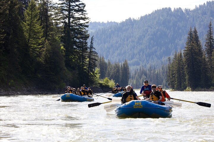 Avventura di rafting in acque bianche per famiglie sul fiume Snake a Jackson Hole, USA, foto 6 | wizardtrip