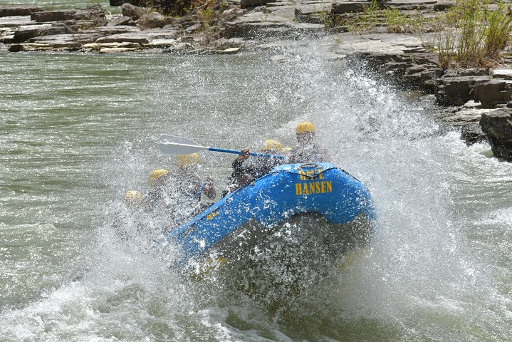 Avventura di rafting in acque bianche per famiglie sul fiume Snake a Jackson Hole, USA, foto 11 | wizardtrip