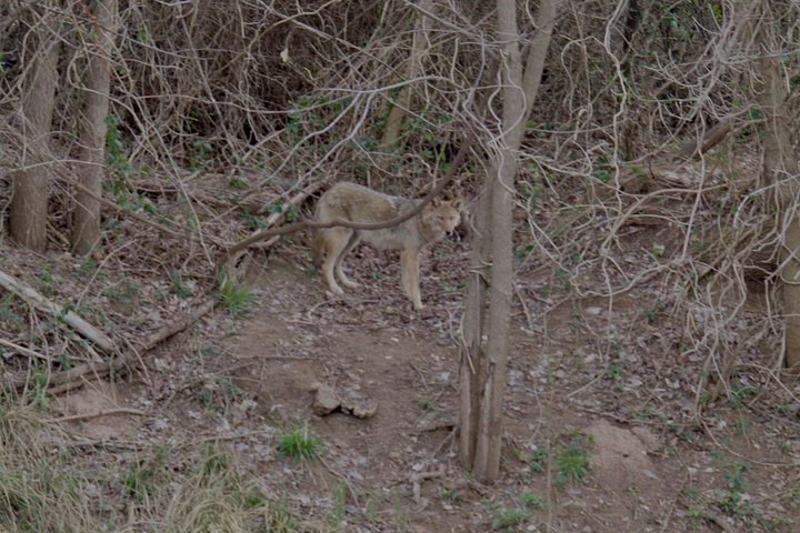 テキサス州ウォコでのブラゾス川の景色の良いボートツアーで、地元のランドマークや自然をお楽しみください、写真10 | wizardtrip
