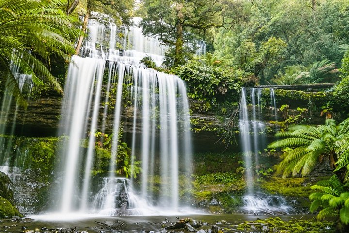 Day Tour in Mt. Field, Mt. Wellington, Bonorong Wildlife Sanctuary and Richmond | wizardtrip