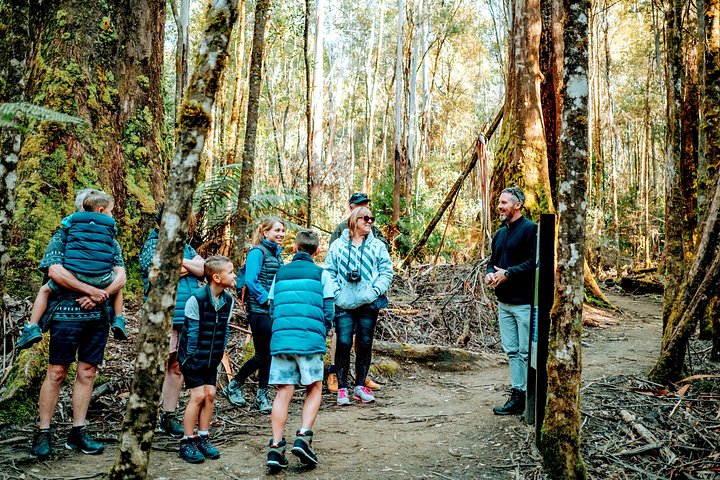 Tour de día completo desde Hobart explorando el Parque Nacional Monte Field, Monte Wellington, Santuario Bonorong y Richmond, foto 7 | wizardtrip