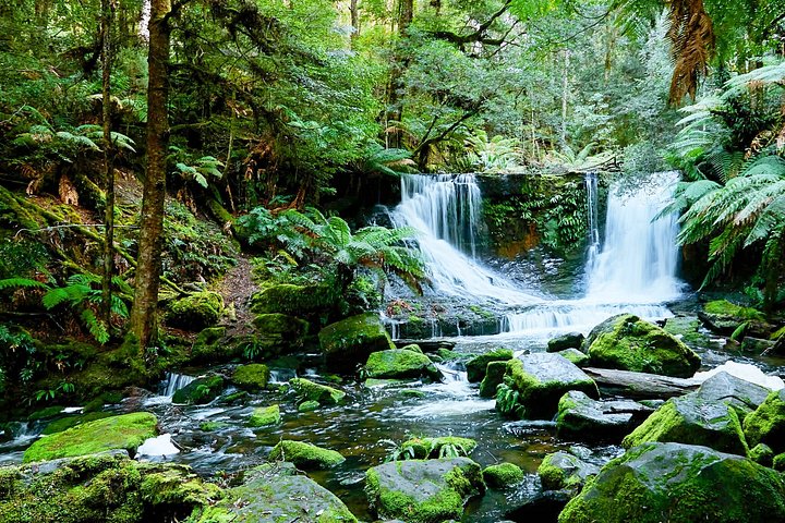 Tour de día completo desde Hobart explorando el Parque Nacional Monte Field, Monte Wellington, Santuario Bonorong y Richmond, foto 8 | wizardtrip