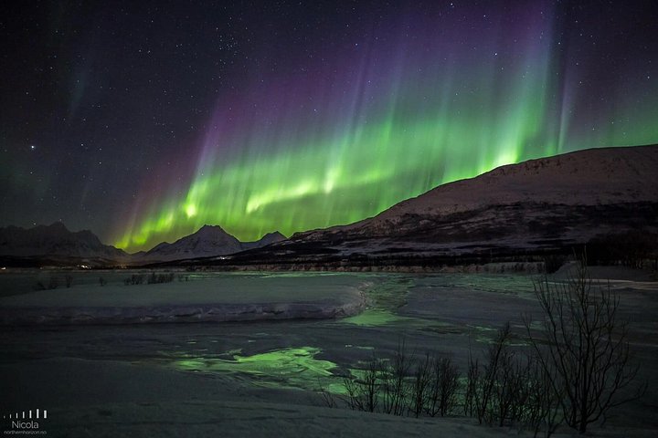 Jakt på norrsken i liten grupp i Tromsø, Norge, med lägereld och arktisk utrustning, foto 18 | wizardtrip