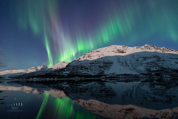 Jakt på norrsken i liten grupp i Tromsø, Norge, med lägereld och arktisk utrustning, foto 26 | wizardtrip