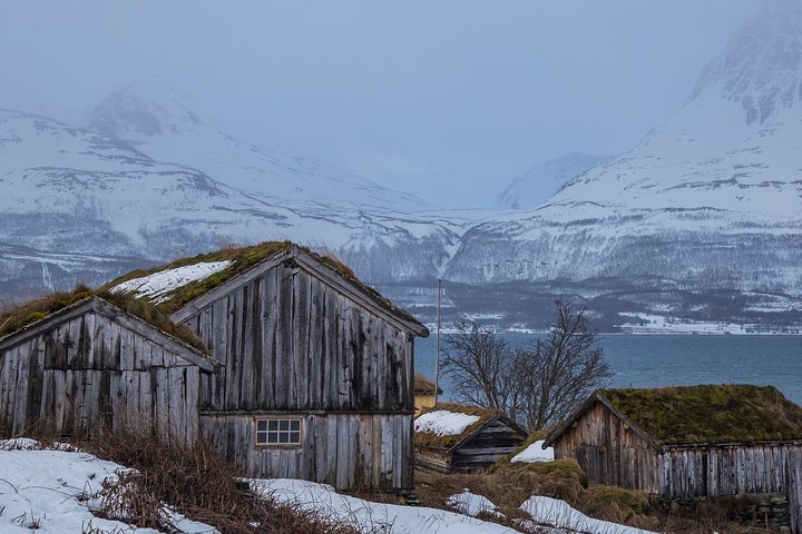 Utforsk Tromsøs fantastiske arktiske landskap på en naturtur med en naturskjønn piknik, foto 11 | wizardtrip