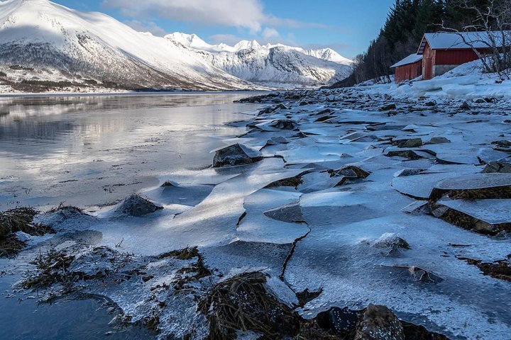 Utforsk Tromsøs fantastiske arktiske landskap på en naturtur med en naturskjønn piknik, foto 26 | wizardtrip
