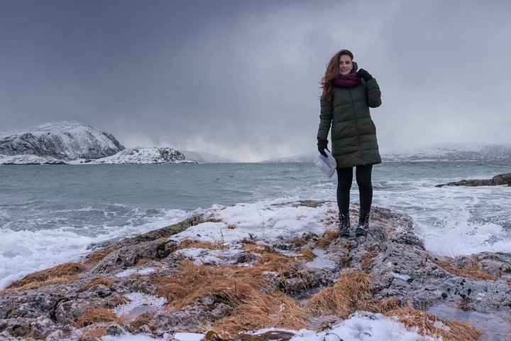 Utforsk Tromsøs fantastiske arktiske landskap på en naturtur med en naturskjønn piknik, foto 33 | wizardtrip