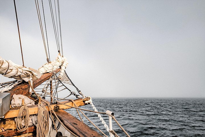 Aventure interactive de croisière pirate avec canons à eau et chasse au trésor à Fort Lauderdale, photo 10 | wizardtrip
