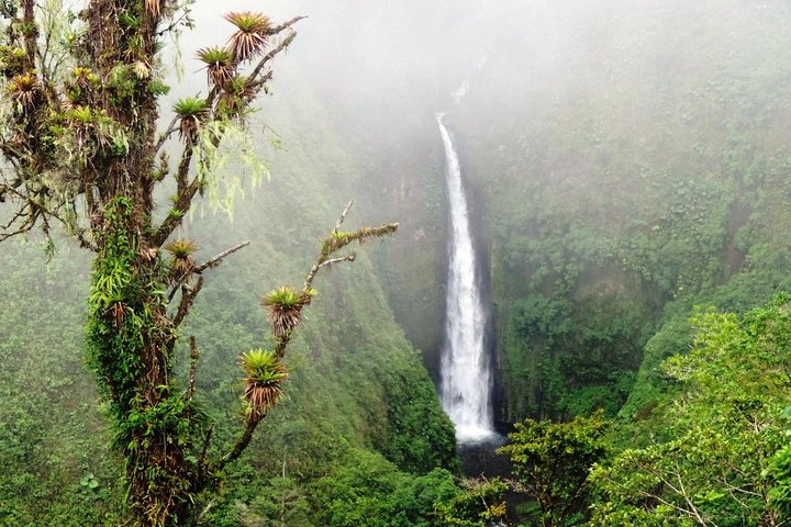 Arenal Vulkan Ganztages-Kombi-Tour mit Mittag- und Abendessen | wizardtrip