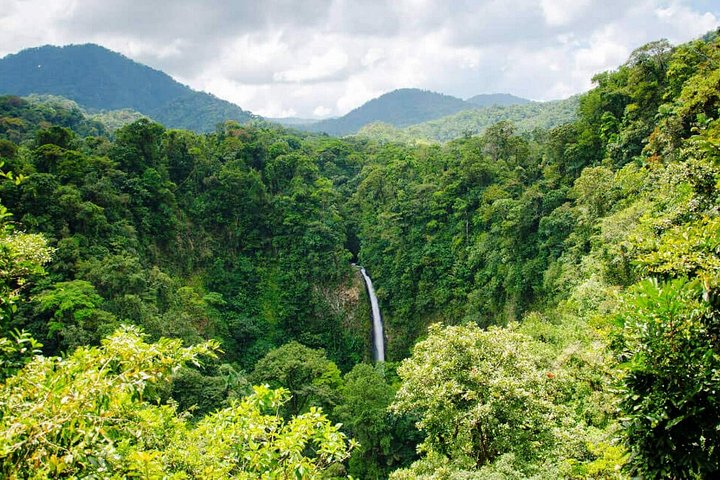 Arenal Vulkan, La Fortuna Vandfald og varme kilder tur fra Jaco, Costa Rica, foto 11 | wizardtrip