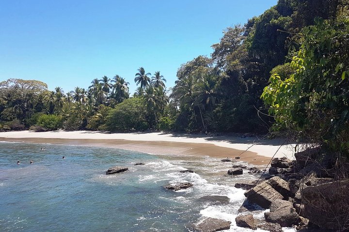 Ganztägige Tour zum Manuel Antonio Nationalpark von San José, Costa Rica, mit Tierwelt und Stränden, Foto 7 | wizardtrip