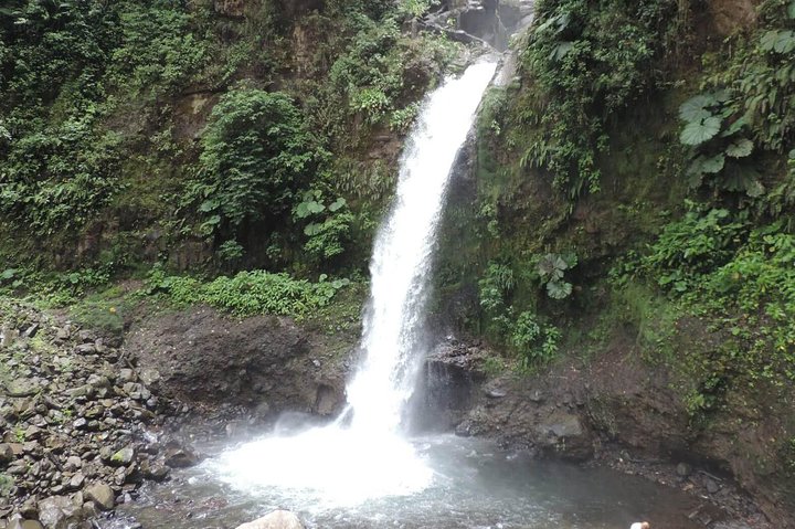 Tour de día completo al Volcán Arenal desde San José, con aguas termales, cascadas y degustación de café, foto 6 | wizardtrip