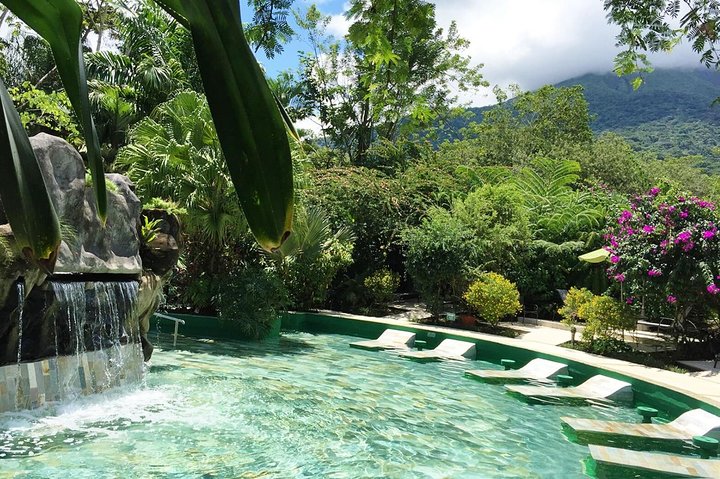 Tour de día completo al Volcán Arenal desde San José, con aguas termales, cascadas y degustación de café, foto 7 | wizardtrip